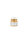 Gold Metallic Fusion Mineral Paint