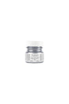 Silver Metallic Fusion Mineral Paint